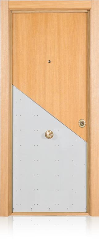 Puerta acorazada cabma thor 20